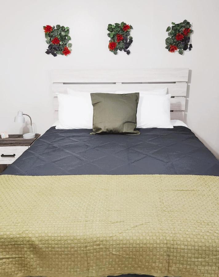 Adorable Mini Suite In Tampa Kültér fotó