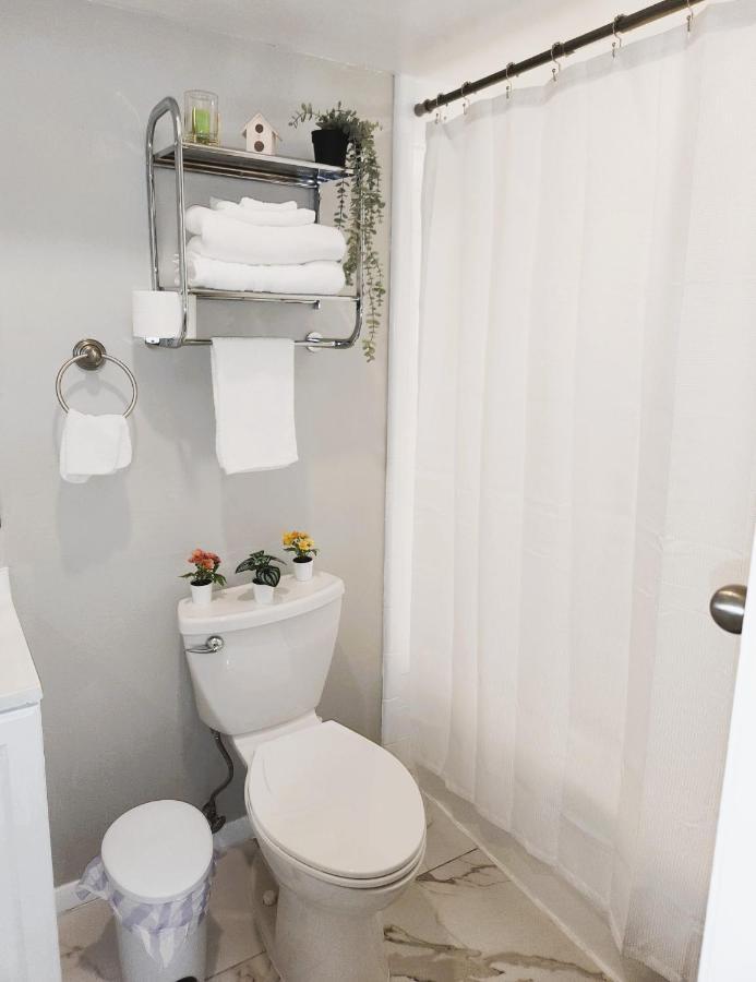 Adorable Mini Suite In Tampa Kültér fotó