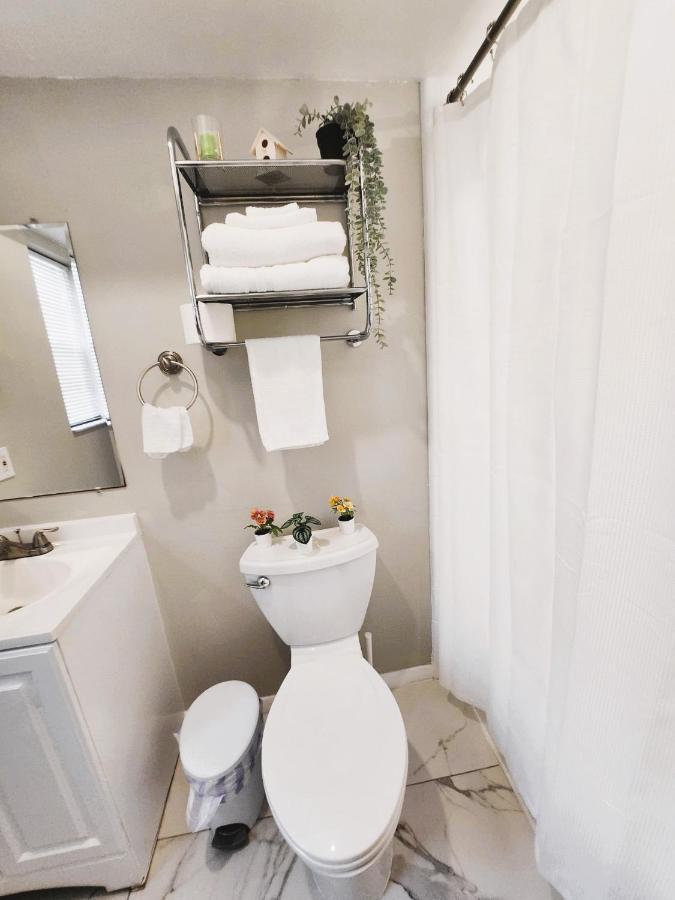 Adorable Mini Suite In Tampa Kültér fotó