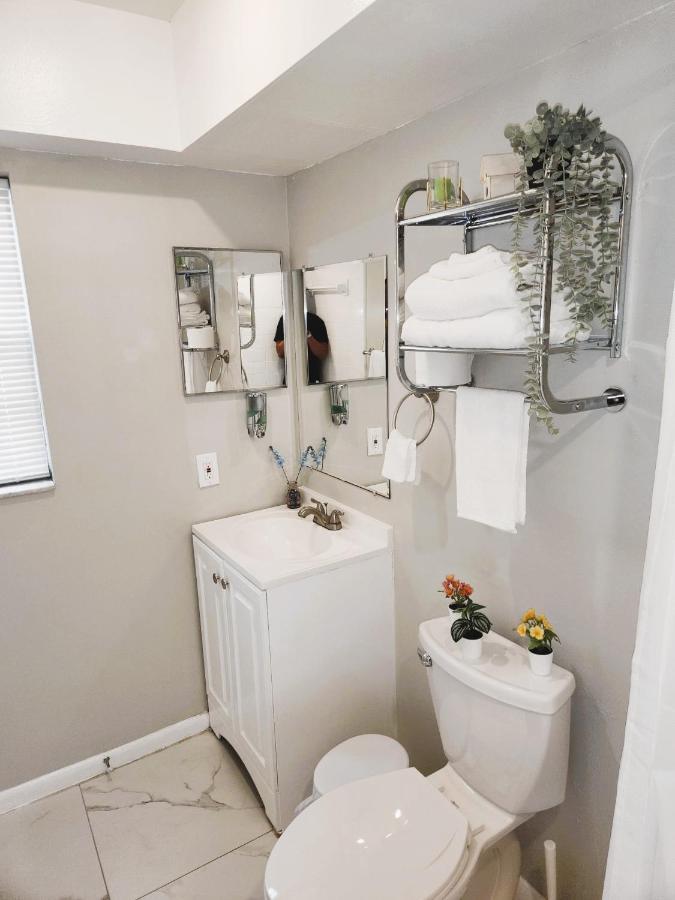 Adorable Mini Suite In Tampa Kültér fotó